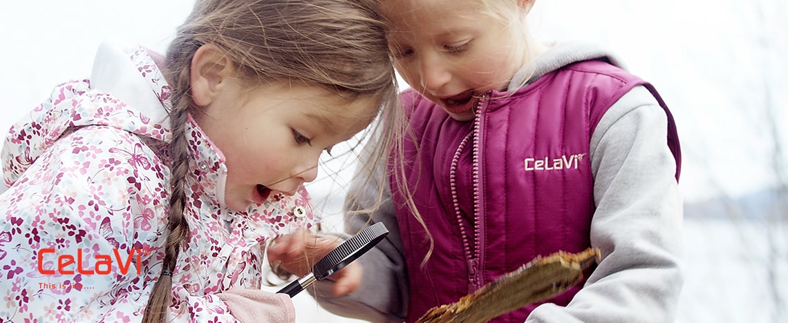 CeLaVi